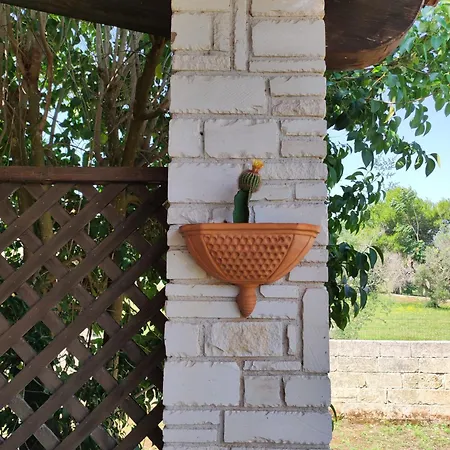 康切达马齐亚住宿加早餐旅馆 4* 特里卡塞