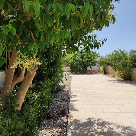 康切达马齐亚住宿加早餐旅馆 特里卡塞