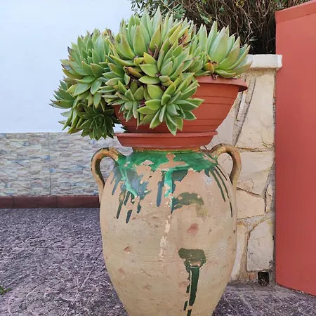 Contrada Macchia 4*