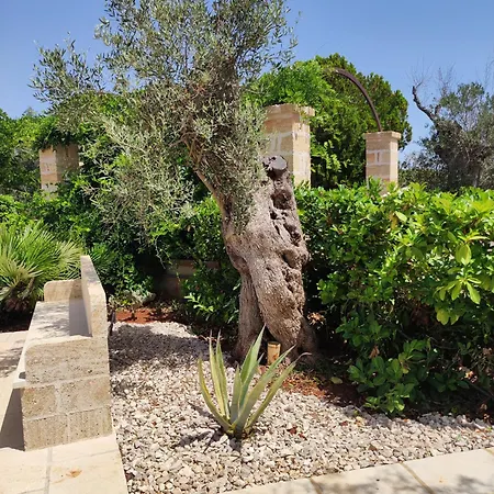 فندق مبيت وإفطار Contrada Macchia تريكاس