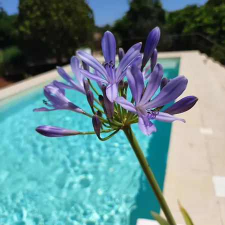 فندق مبيت وإفطار Contrada Macchia