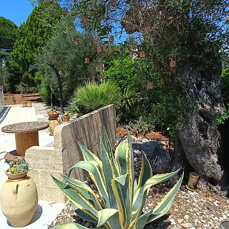 Bed & Breakfast Contrada Macchia 4*